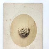 Nicely Mysterious and Very Delicate Feeling Antique Mounted Photo of a Single Silver Button (?)