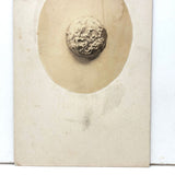 Nicely Mysterious and Very Delicate Feeling Antique Mounted Photo of a Single Silver Button (?)