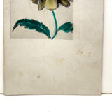 SOLD Flower Face, Unusual and New Favorite Ever Hand-colored Real Photo Postcard, c. 1910
