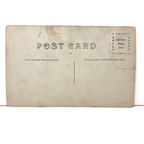 SOLD Flower Face, Unusual and New Favorite Ever Hand-colored Real Photo Postcard, c. 1910