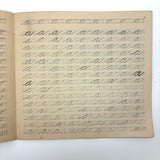 Me, Me, Me, On and On and On, Mabel's 1883 Single Letter and Short Word Penmanship Notebook