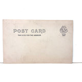 Good Dog In Corner on Covered Chair, Poetic Old Real Photo Postcard
