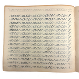 Me, Me, Me, On and On and On, Mabel's 1883 Single Letter and Short Word Penmanship Notebook