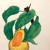Yellow Pear with Orange Patch, c. 1910 Watercolor