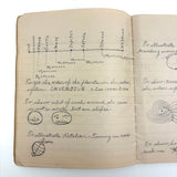 Unmatched Pair of Antique Physiography Notebooks with Many Diagrams (and Useful Info!)