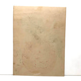 Dappled Apple, Antique Theorem Watercolor on Watermarked Paper