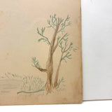 Wonderfully Awkward Still Life with Insect on Stem, House on Reverse, Henry Hinkel, 1913 Drawing , Lancaster NY