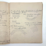 Unmatched Pair of Antique Physiography Notebooks with Many Diagrams (and Useful Info!)