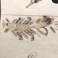 Edmund Hawley's 1831 Cut Paper and Ink Drawn Valentine