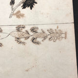 Edmund Hawley's 1831 Cut Paper and Ink Drawn Valentine
