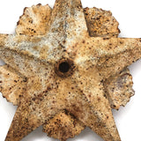 Excellent 19th C. Cast Iron Star in Old White Paint