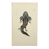 Shaw + Nodder 1792 Ambystoma Mexicanum (Mole Salamander) Hand-Colored Copper Engraving