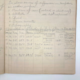 Unmatched Pair of Antique Physiography Notebooks with Many Diagrams (and Useful Info!)