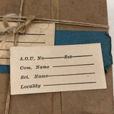 As Found, Evocative Brown Paper Wrapped Packet of Bird Identification Labels
