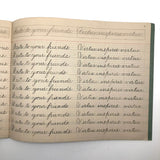 Spencerian Penmanship Notebook, c. 1880s, With Good Words, Phrases and Juxtapositions