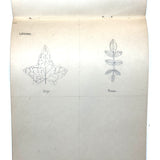 Pair of 1910 Handwritten Physics Notebooks with Wonderful Headers and Excellent Diagrams
