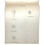 Pair of 1910 Handwritten Physics Notebooks with Wonderful Headers and Excellent Diagrams