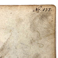 Spotted Dove(?): Marvelous C. 1800 German Watercolor, with Birds of Prey Notes on Reverse)
