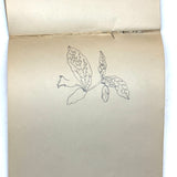 Pair of 1910 Handwritten Physics Notebooks with Wonderful Headers and Excellent Diagrams