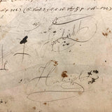 Spotted Dove(?): Marvelous C. 1800 German Watercolor, with Birds of Prey Notes on Reverse)