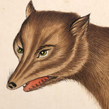 Gray Wolf and Golden Jackal, Exquisite Early 19th Century Watercolor