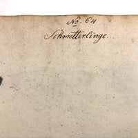 Schmetterlinge: Marvelous C. 1800 German Watercolor on Laid of Butterflies
