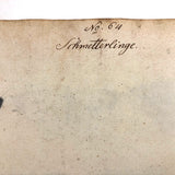Schmetterlinge: Marvelous C. 1800 German Watercolor on Laid of Butterflies