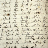 Nelia Downing's 1870s Penmanship Notebook, Full, Mason County, Kentucky