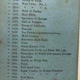 19th C. American Stereoview Co. Pea Fowl Albumen Stereoview