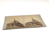 19th C. American Stereoview Co. Pea Fowl Albumen Stereoview