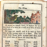 Comley's Spelling and Reading Book, 1853, with Hand-colored Engravings, Cut Paper Letters, and Good Words