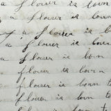 Nelia Downing's 1870s Penmanship Notebook, Full, Mason County, Kentucky