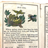 Comley's Spelling and Reading Book, 1853, with Hand-colored Engravings, Cut Paper Letters, and Good Words