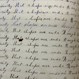 Nelia Downing's 1870s Penmanship Notebook, Full, Mason County, Kentucky