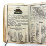 Comley's Spelling and Reading Book, 1853, with Hand-colored Engravings, Cut Paper Letters, and Good Words