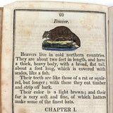 Comley's Spelling and Reading Book, 1853, with Hand-colored Engravings, Cut Paper Letters, and Good Words