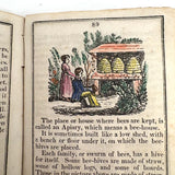 Comley's Spelling and Reading Book, 1853, with Hand-colored Engravings, Cut Paper Letters, and Good Words