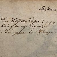 Murkwurdige Schlangen: Marvelous C. 1800 German Watercolor on Laid of Two Snakes
