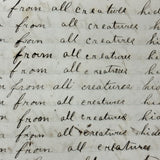 Nelia Downing's 1870s Penmanship Notebook, Full, Mason County, Kentucky