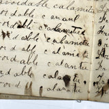 Nelia Downing's 1870s Penmanship Notebook, Full, Mason County, Kentucky