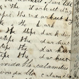 Nelia Downing's 1870s Penmanship Notebook, Full, Mason County, Kentucky