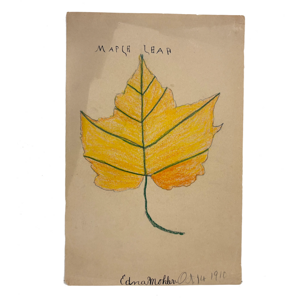 Edna Mohler's Maple Leaf, 1910 Crayon Drawing