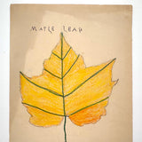 Edna Mohler's Maple Leaf, 1910 Crayon Drawing