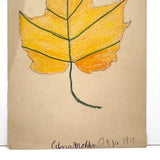 Edna Mohler's Maple Leaf, 1910 Crayon Drawing