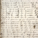 Nelia Downing's 1870s Penmanship Notebook, Full, Mason County, Kentucky
