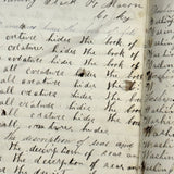 Nelia Downing's 1870s Penmanship Notebook, Full, Mason County, Kentucky
