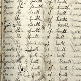 Nelia Downing's 1870s Penmanship Notebook, Full, Mason County, Kentucky