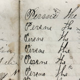Nelia Downing's 1870s Penmanship Notebook, Full, Mason County, Kentucky
