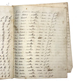 Nelia Downing's 1870s Penmanship Notebook, Full, Mason County, Kentucky