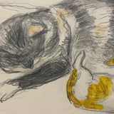 C. Betram Hartman (1882-1960) Mother Cat and Kitten, Graphite with Watercolor Drawing, 1948